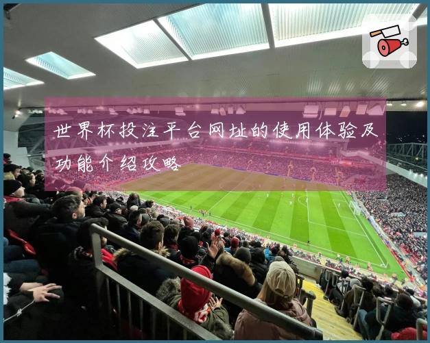 世界杯投注平台网址的使用体验及功能介绍攻略