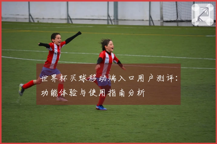 世界杯买球移动端入口用户测评：功能体验与使用指南分析