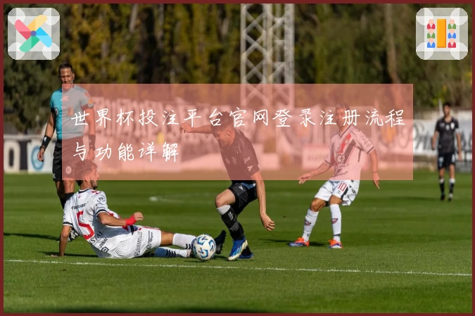 世界杯投注平台官网登录注册流程与功能详解