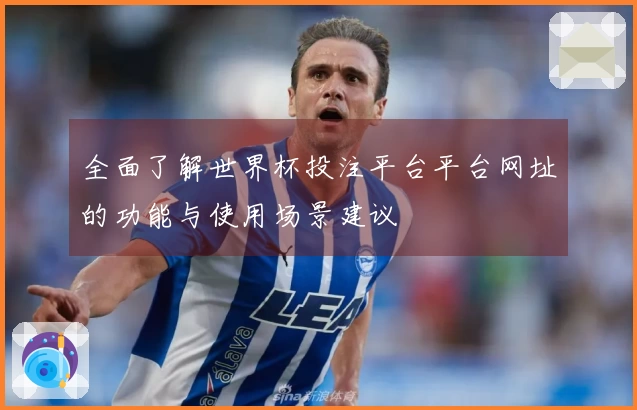 全面了解世界杯投注平台平台网址的功能与使用场景建议