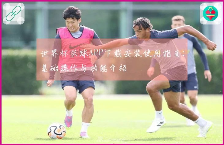 世界杯买球APP下载安装使用指南：基础操作与功能介绍