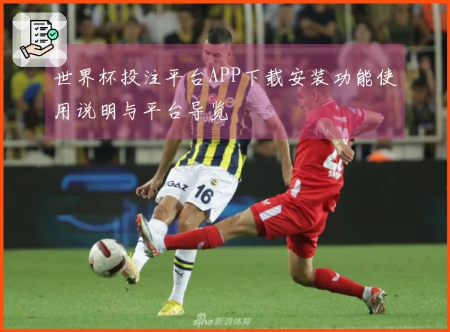 世界杯投注平台APP下载安装功能使用说明与平台导览