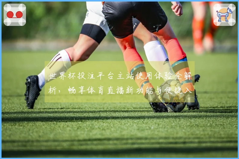 世界杯投注平台主站使用体验全解析，畅享体育直播新功能与便捷入口