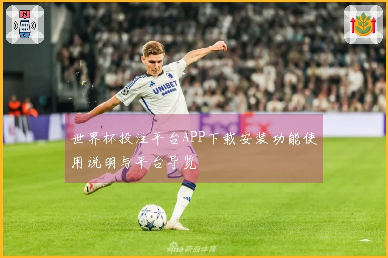 世界杯投注平台APP下载安装功能使用说明与平台导览