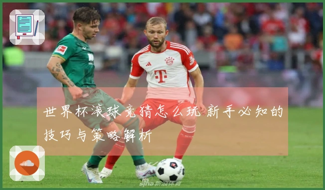 世界杯滚球竞猜怎么玩 新手必知的技巧与策略解析