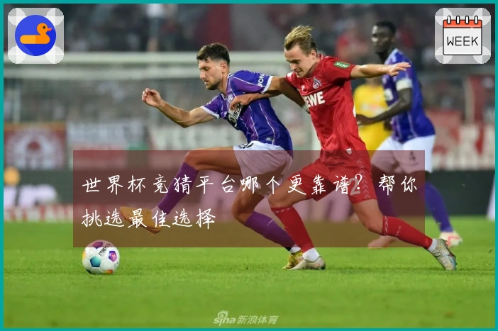 世界杯竞猜平台哪个更靠谱?帮你挑选最佳选择