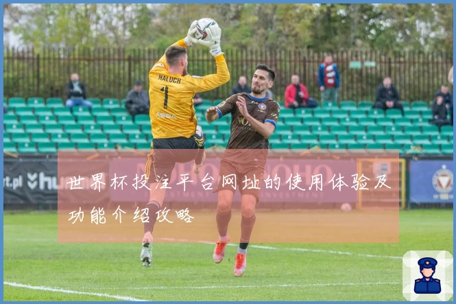 世界杯投注平台网址的使用体验及功能介绍攻略