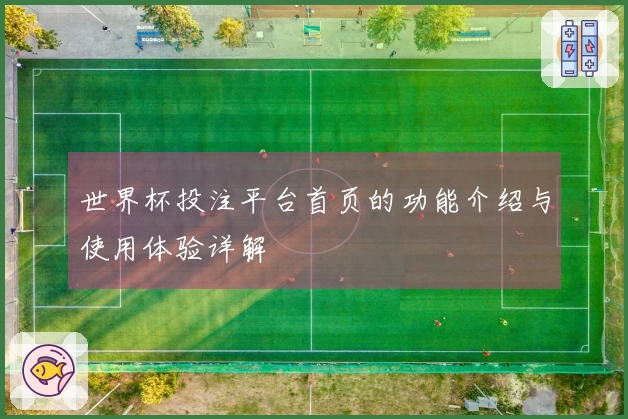 世界杯投注平台首页的功能介绍与使用体验详解