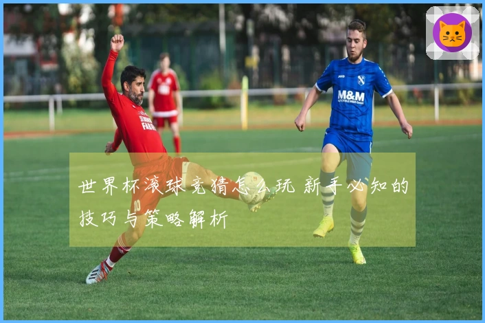 世界杯滚球竞猜怎么玩 新手必知的技巧与策略解析